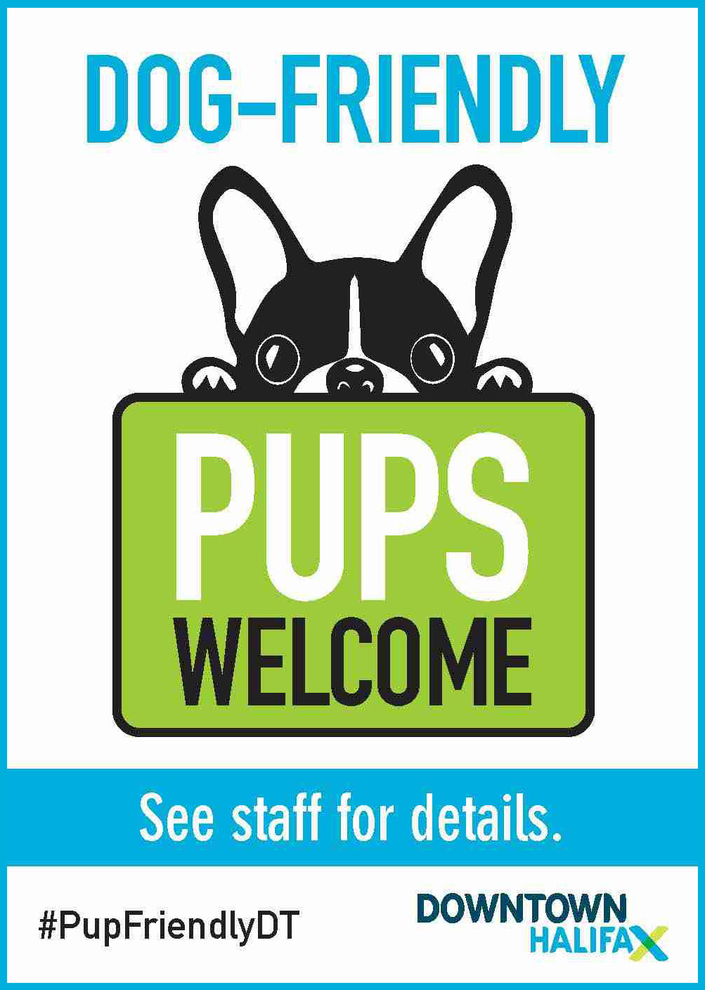 Look for Downtown Halifax's Dog-Friendly decals. 