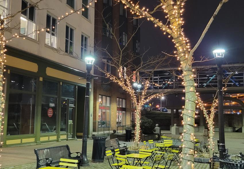 Tree Wrap Lights at Granville Mall