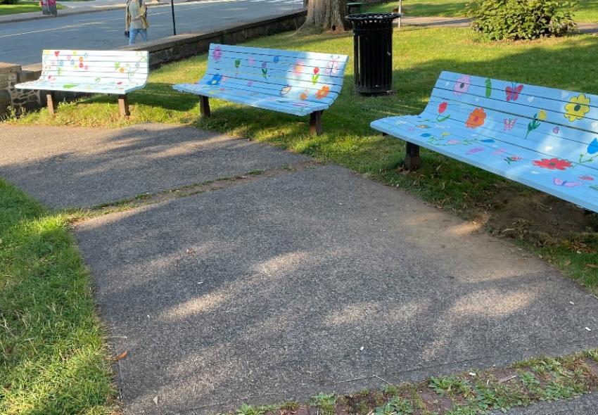 Grafton Park Benches