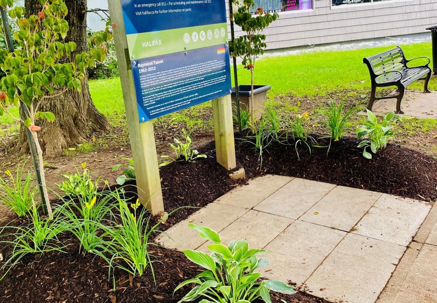 New plants in Raymond Taavel Park, planted by Friends of Raymond Taavel Park 