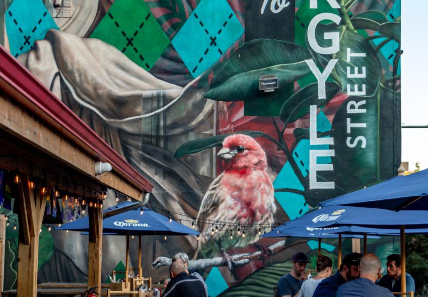 Welcome To Argyle Street Mural