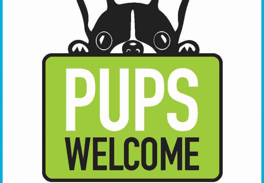 Look for Downtown Halifax's Dog-Friendly decals. 