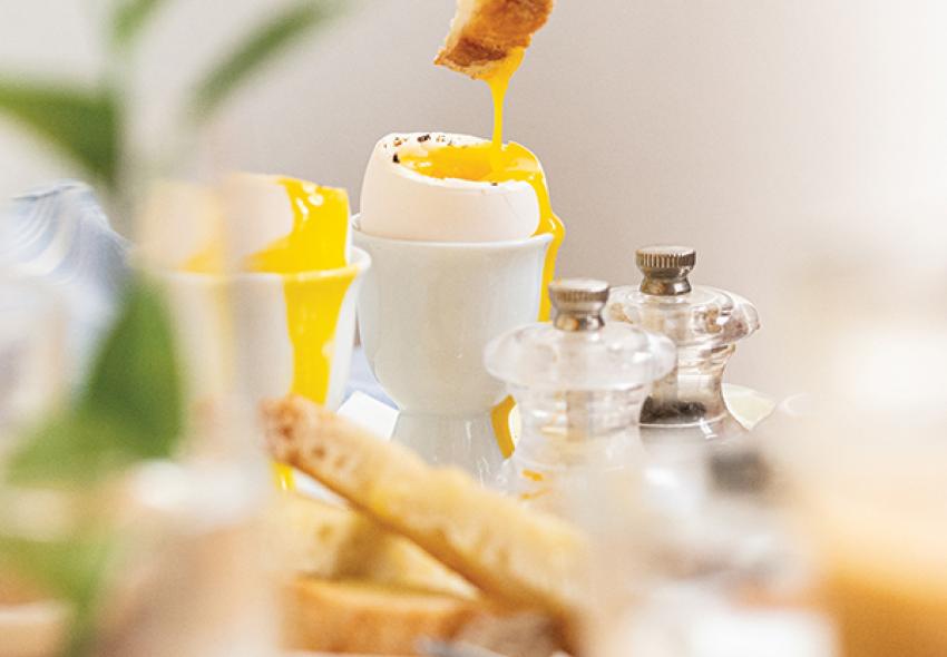 Enjoy brunch at the Bird's Nest Cafe in Downtown Halifax. 