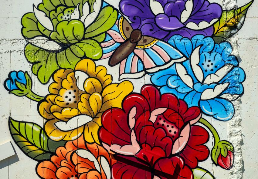 Anisa Francoeur @anisafrancoeur