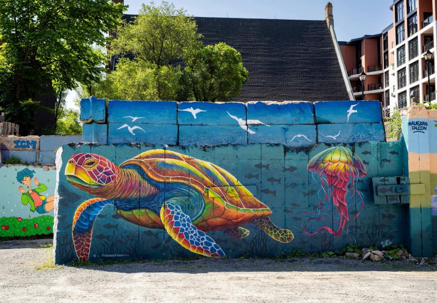 Thiago Martins Dos Santos @thimartinsantos 