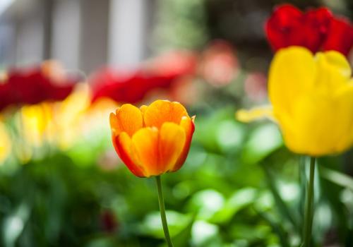 April is jampacked with exciting events in Downtown Halifax from live music to the annual Halifax Burger Bash. 