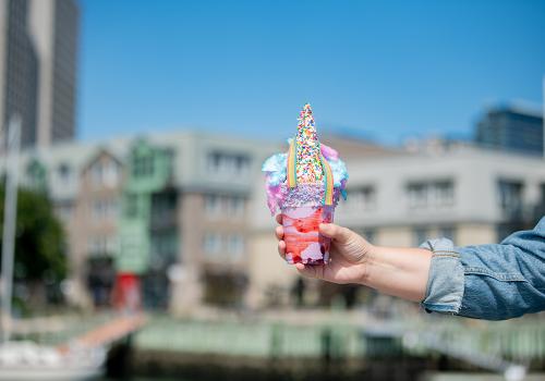 Frozen treats in Downtown Halifax. 