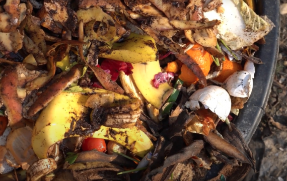 compost