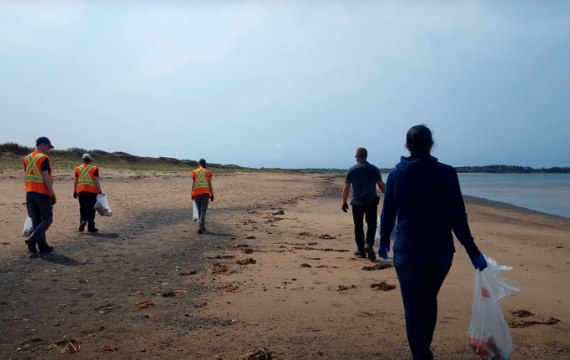 Ocean cleanup